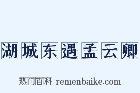 湖城东遇孟云卿是什么意思的图片